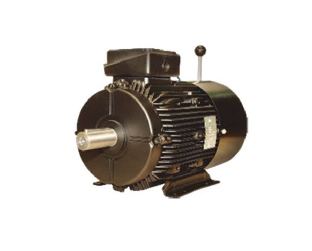 Brake Motors