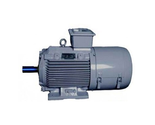 Crane Duty Motor