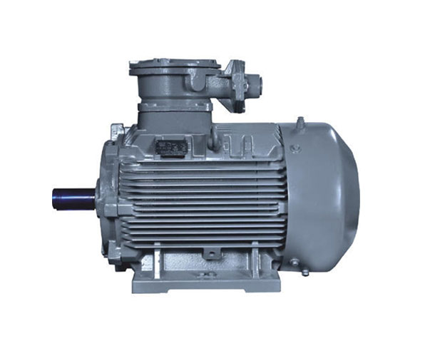 Flame Proof Motor