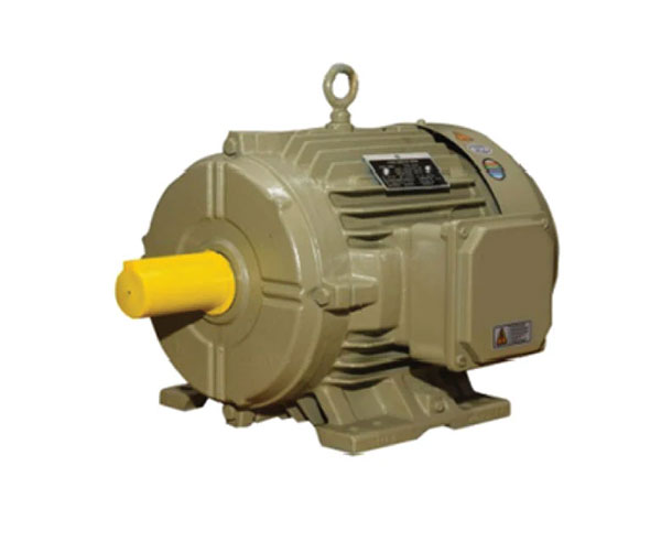 IE-2 Motors