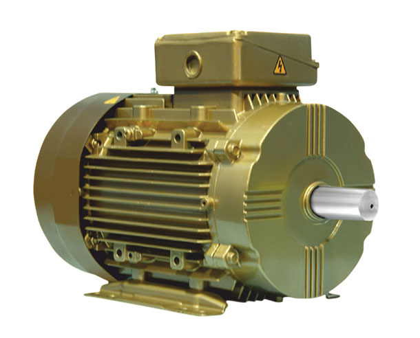 IE-4 Motors