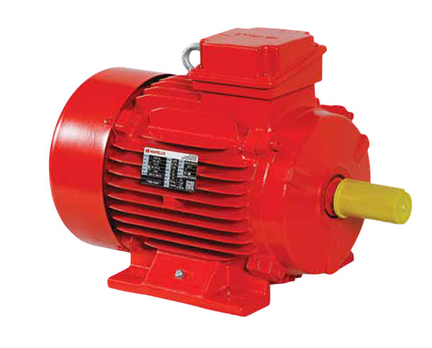 Fire Fighting Motors