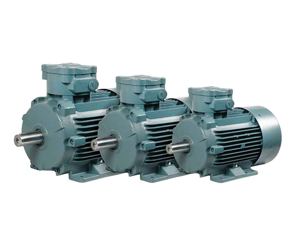 Flame Proof Motors
