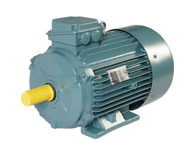 IE-4 Motors